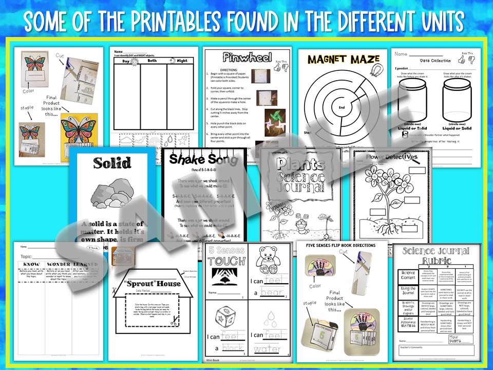 Science Curriculum kindergarten and 1st Grade Yearlong BUNDLE - Teacher